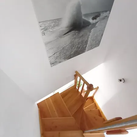 Ayla House